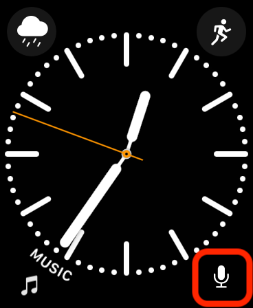 Apple Watch face with the OrthoScribe complication added